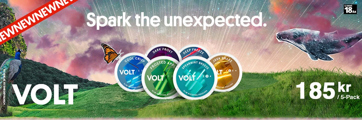volt nicotine pouches review